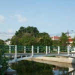 Pi Kun Bridge & Pig Memorial